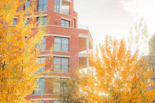 Bent u op zoek naar een exclusief, instapklaar appartement in de meest gewilde buurt van Brussel? Dit recent opgeleverde nieuwbouwappartement (107 m²) in Residentie Scarlet biedt u de luxe van een eerste bewoning binnen het prestigieuze project Park Lane.Hoogwaardig Wonen in Residentie ScarletDit ruime appartement op de 1e verdieping is ontworpen met oog voor detail en comfort:Oppervlakte: 107 m² slim ingedeelde leefruimte.Buitenruimte: Geniet van een ruim terras van 8m² voor optimale lichtinval en buitenbeleving.Slaapcomfort: 2 ruime slaapkamers en 2 moderne badkamers, ideaal voor gasten of een gezin.Nieuwbouw: Eerste bewoning met uitstekende energetische prestaties.Park Lane: Het kloppende hart van BrusselGelegen op de bruisende site van Tour &amp; Taxis, woont u hier in een autoluwe, groene oase. Met de Gare Maritime, hippe horeca en het uitgestrekte park om de hoek, biedt Park Lane een unieke urban lifestyle. De centrale ligging nabij het kanaal en het Noordstation garandeert een topbereikbaarheid.Specificaties:Project: Park Lane – Residentie ScarletVerdieping: 1Kamers: 2 slaapkamers, 2 badkamersExtra: terras van 10m²Word de eerste bewoner van dit unieke object! Neem contact op voor een bezichtiging en ontdek de kwaliteit van Residentie Scarlet.