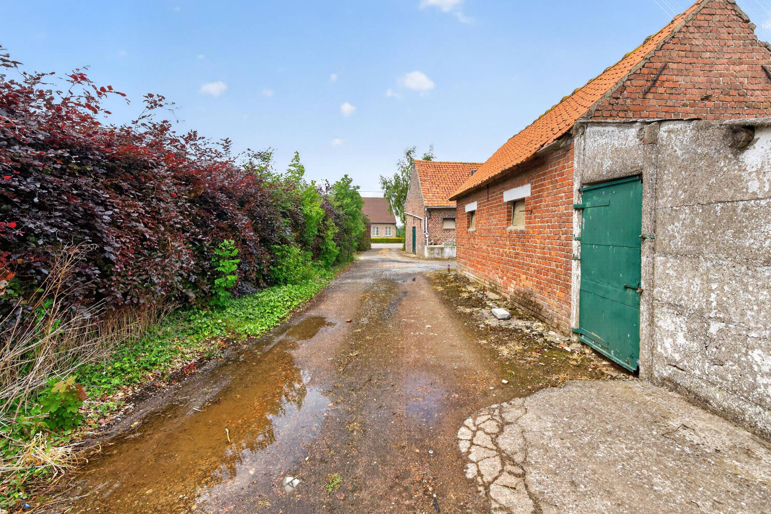 Te renoveren hoeve met ruim bijgebouw in Langemark-Poelkapelle - foto 5