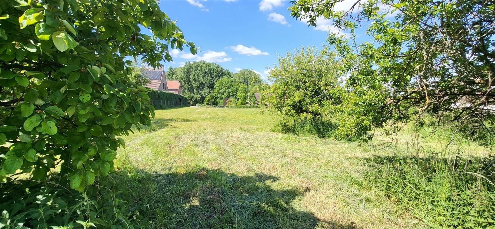 Bouwgrond voor open villabouw van 2440m² te Meerbeke - foto 5