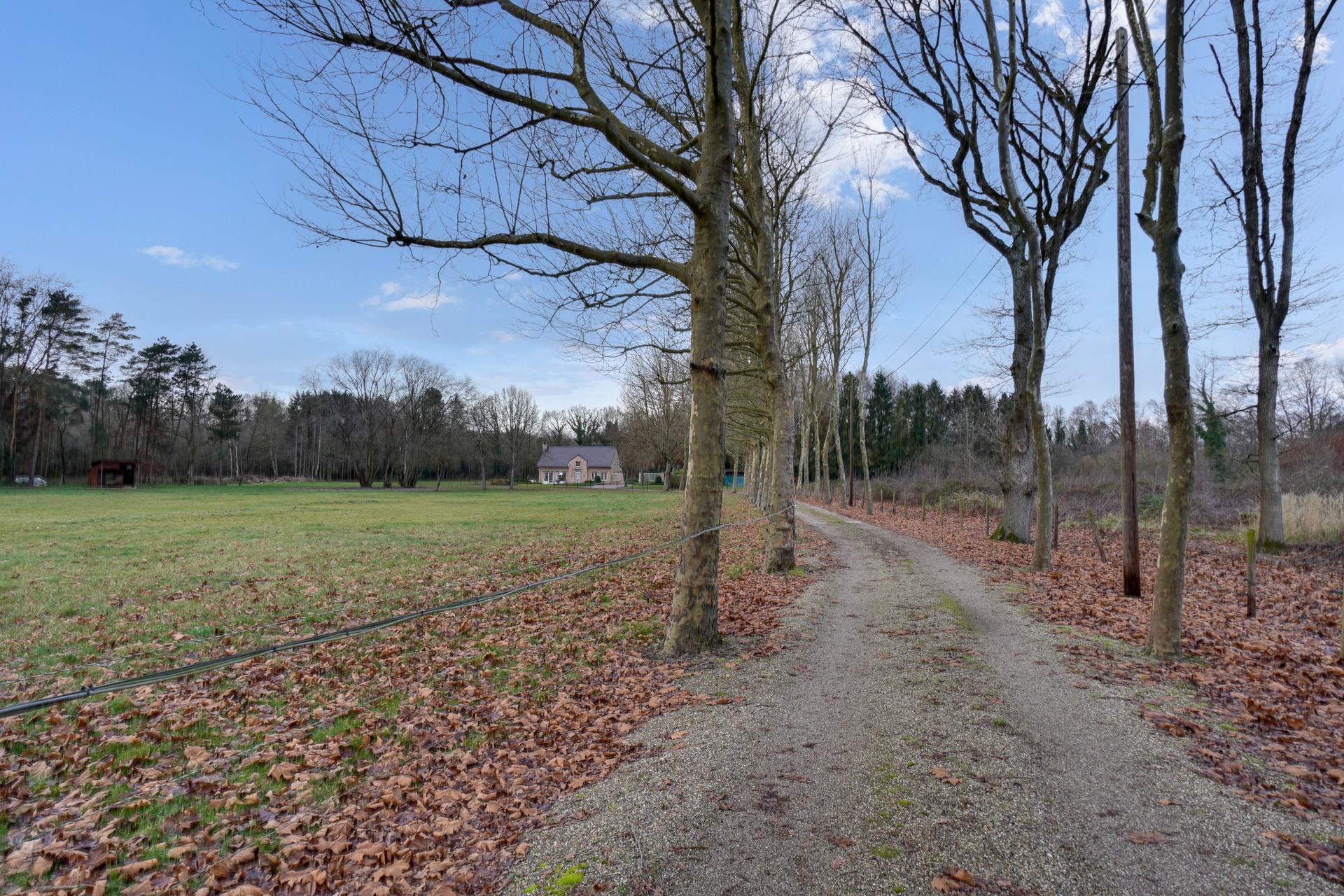 UNIEK LANDHUIS MET TOPLIGGING OP 2,55 HECTARE - foto 4