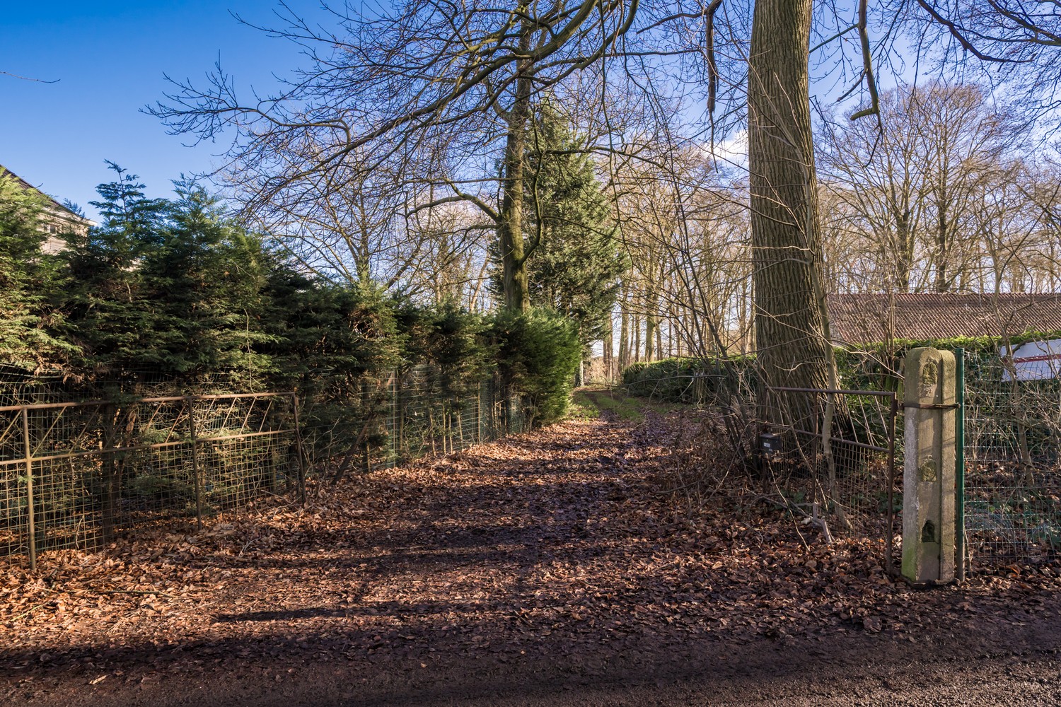 Exclusieve bouwgrond aan de Lembeekse Bossen! - foto 5