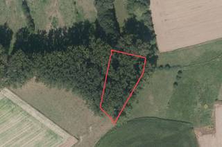 Perceel bos te koop  te Sint-Pieters-KapelleOppervlakte : 1.885 m²Gelegen in agrarisch gebied, er staan 27 grote populieren opUitweg naar de...