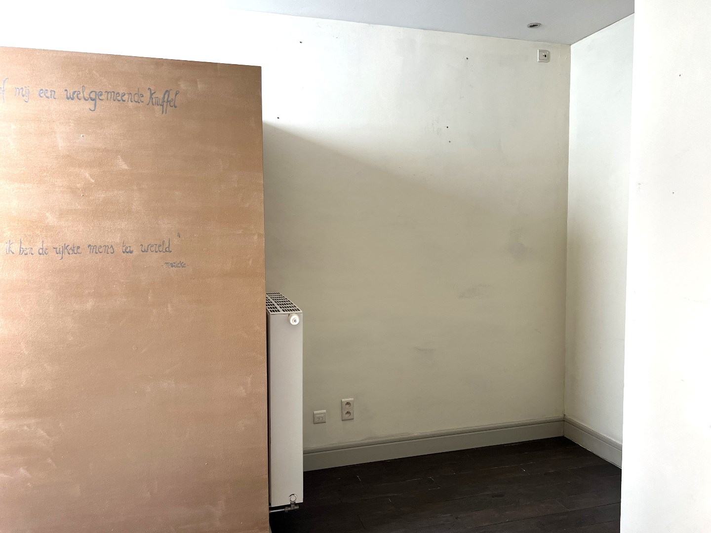 Handelsgelijkvloers in het centrum van Diest - foto 5