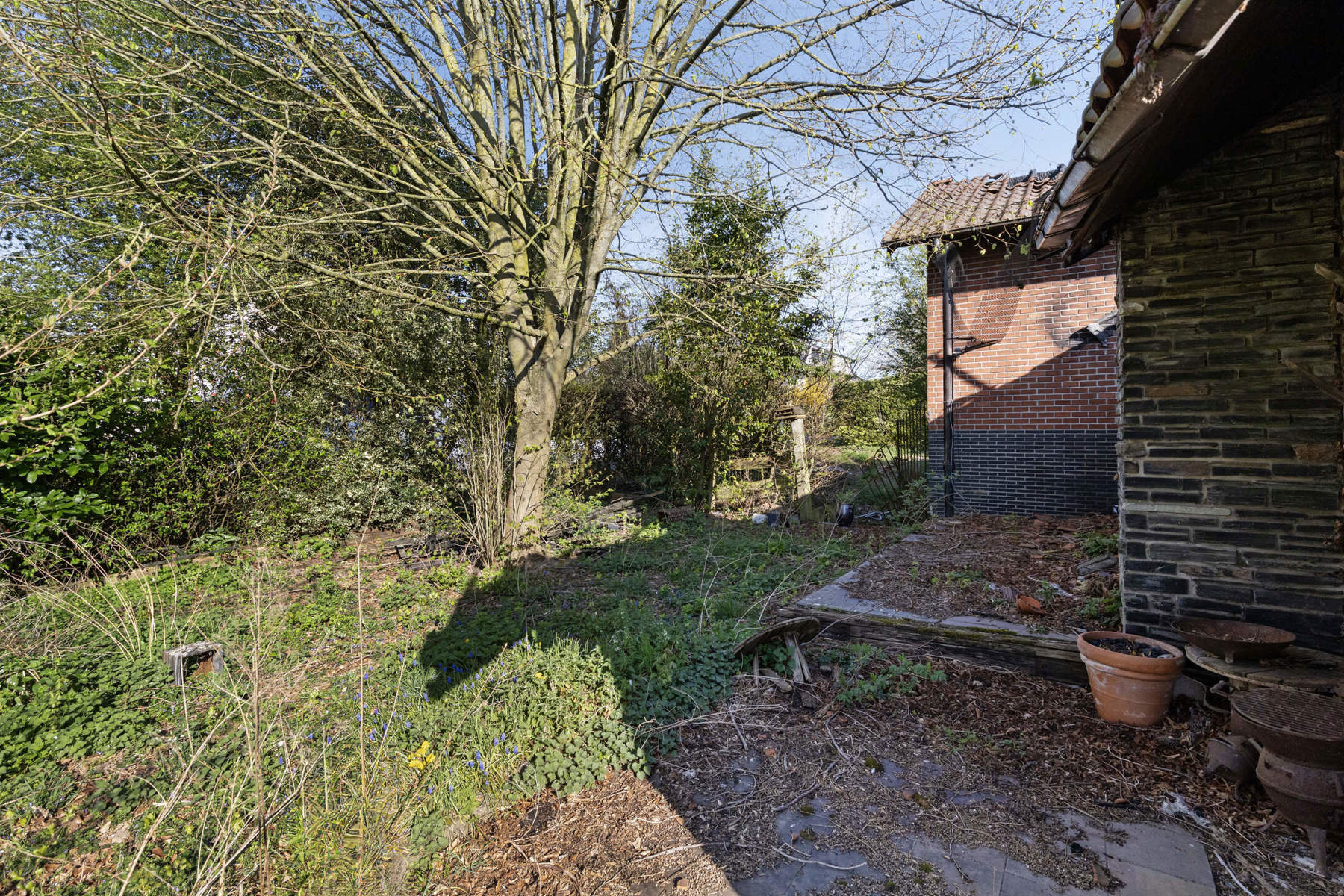Maison à vendre à Leeuw-Saint-Pierre avec 1 chambre - photo 4