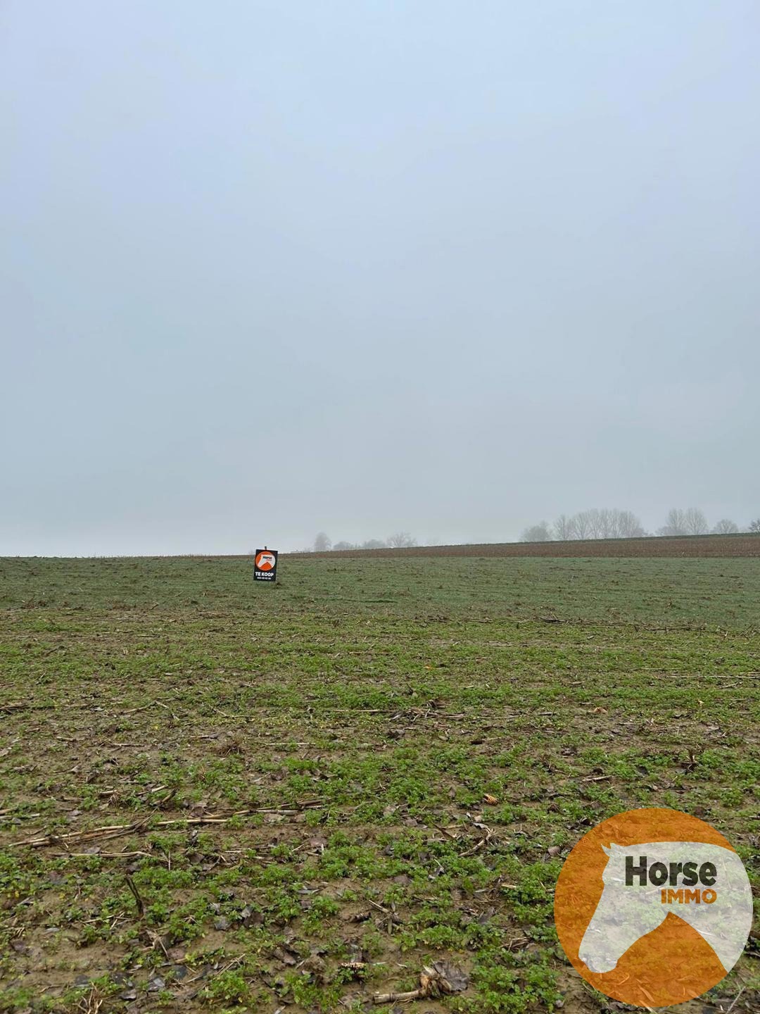 HERZELE - Landbouwgrond van 46are - foto 3