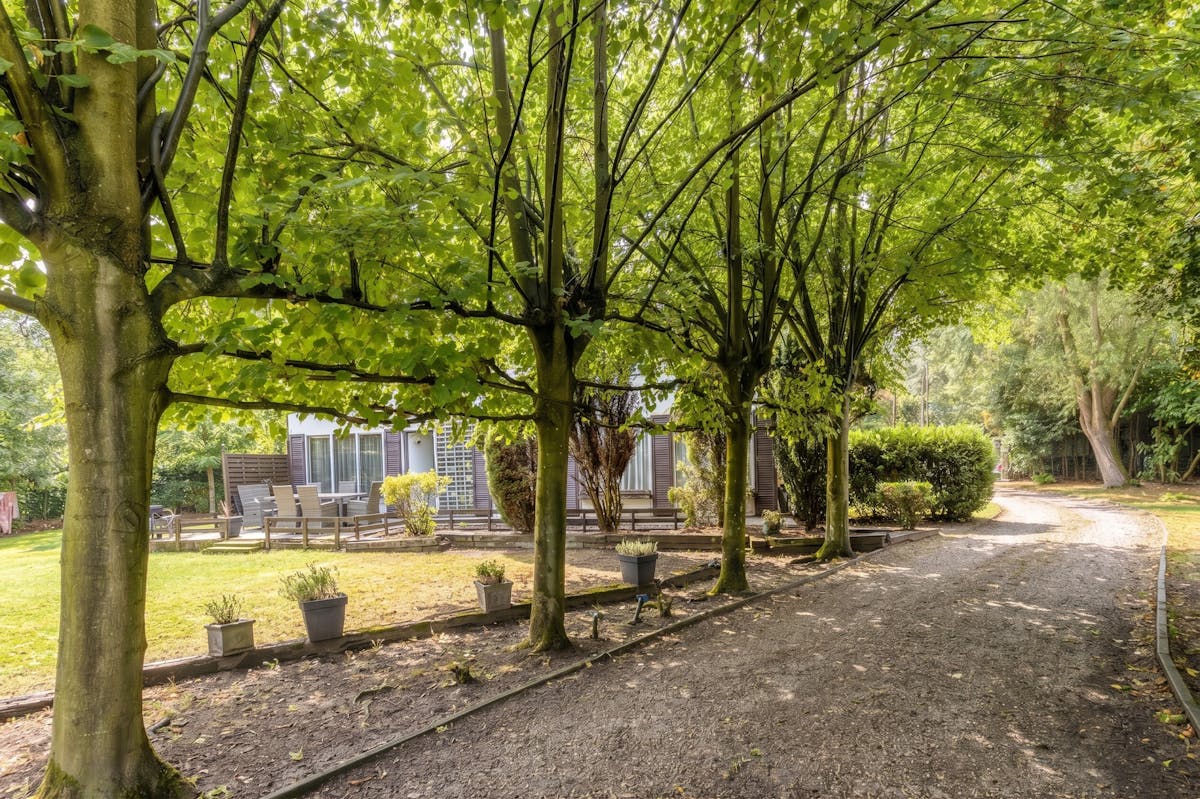 Unieke kans op een riant perceel van 3.180 m² te Aalter! - foto 3