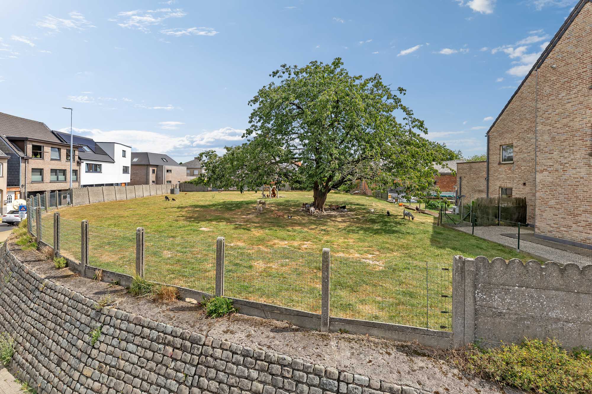 Land for sale in Haaltert