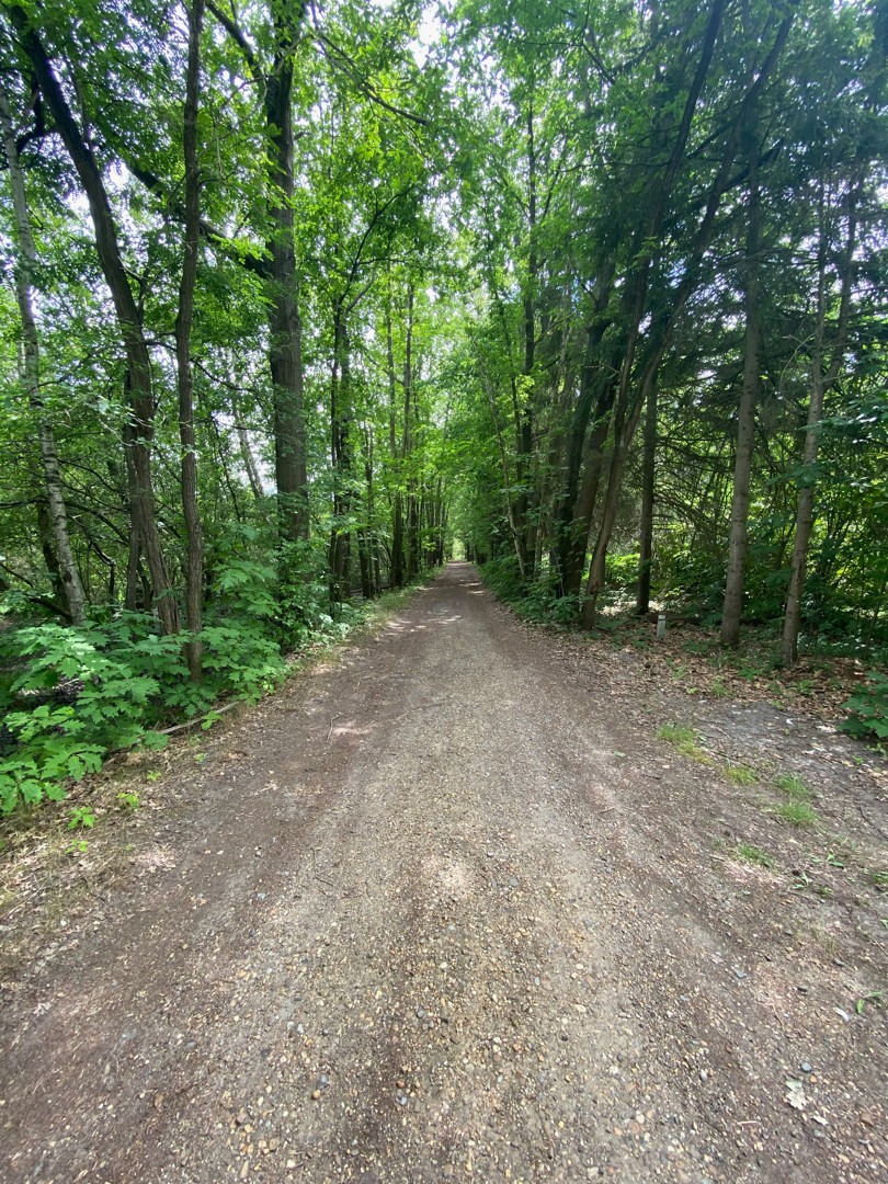 Recreatiegrond te koop met natuurlijke vijver in Westmeerbeek - foto 4