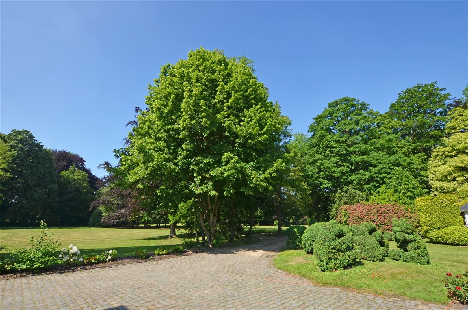 Uniek kasteeldomein op ±7ha nabij het centrum van Hasselt - foto 5