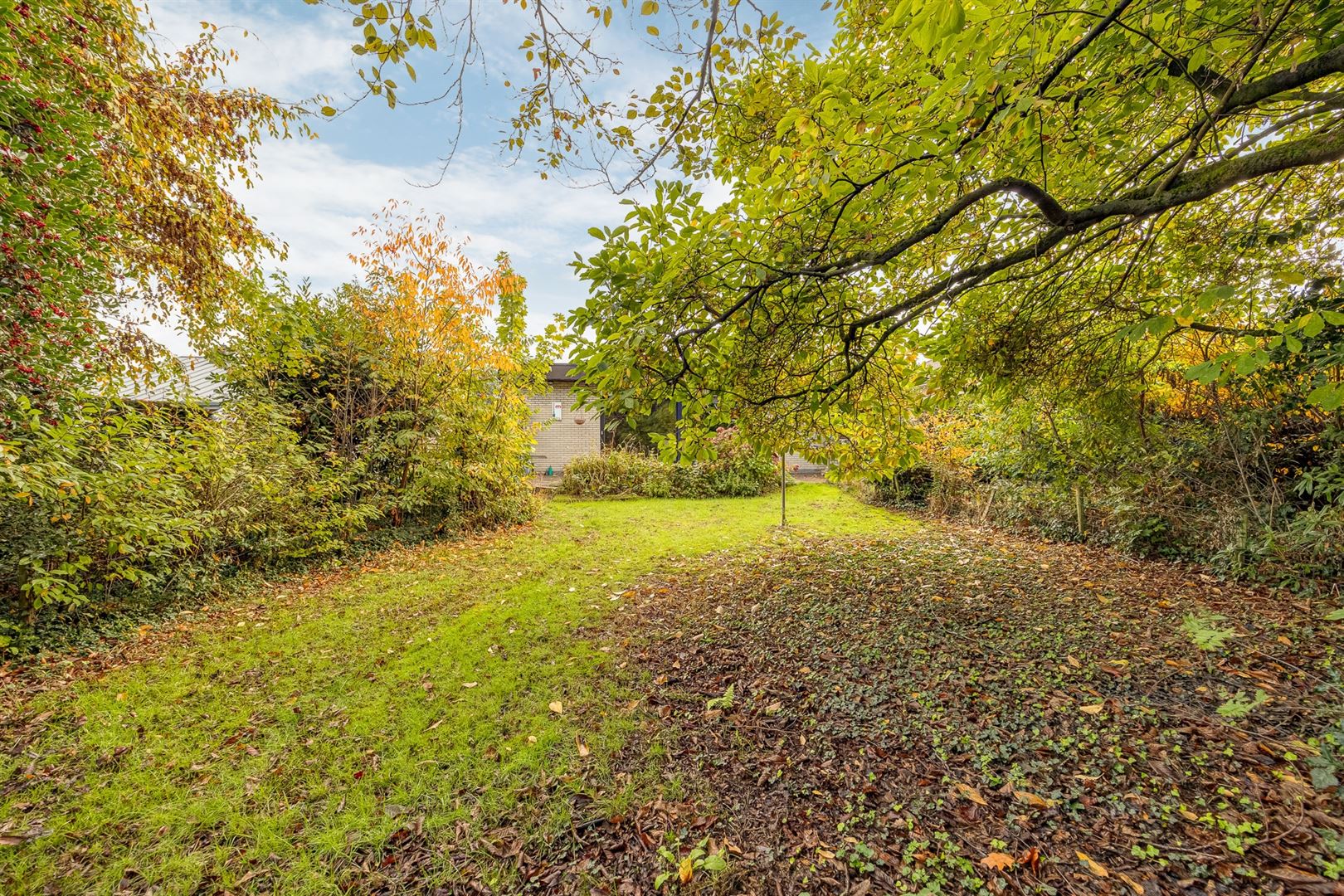 Te renoveren woning met veel potentieel! - foto 2