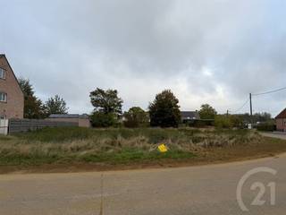 Bouwgrond voor open bebouwing te koop in Westerlo! (Zoerle-Parwijs)Droom je van een eigen woning op een rustige, landelijke locatie met alle nodige...