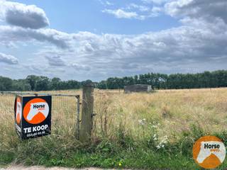 MELDERT - Weide op +/- 40AreDit stuk weide is ongeveer 39a20ca en goed bereikbaar.Dit perceel kunt u terugvinden onder AALST AFD 10/MELDERT, sectie:...