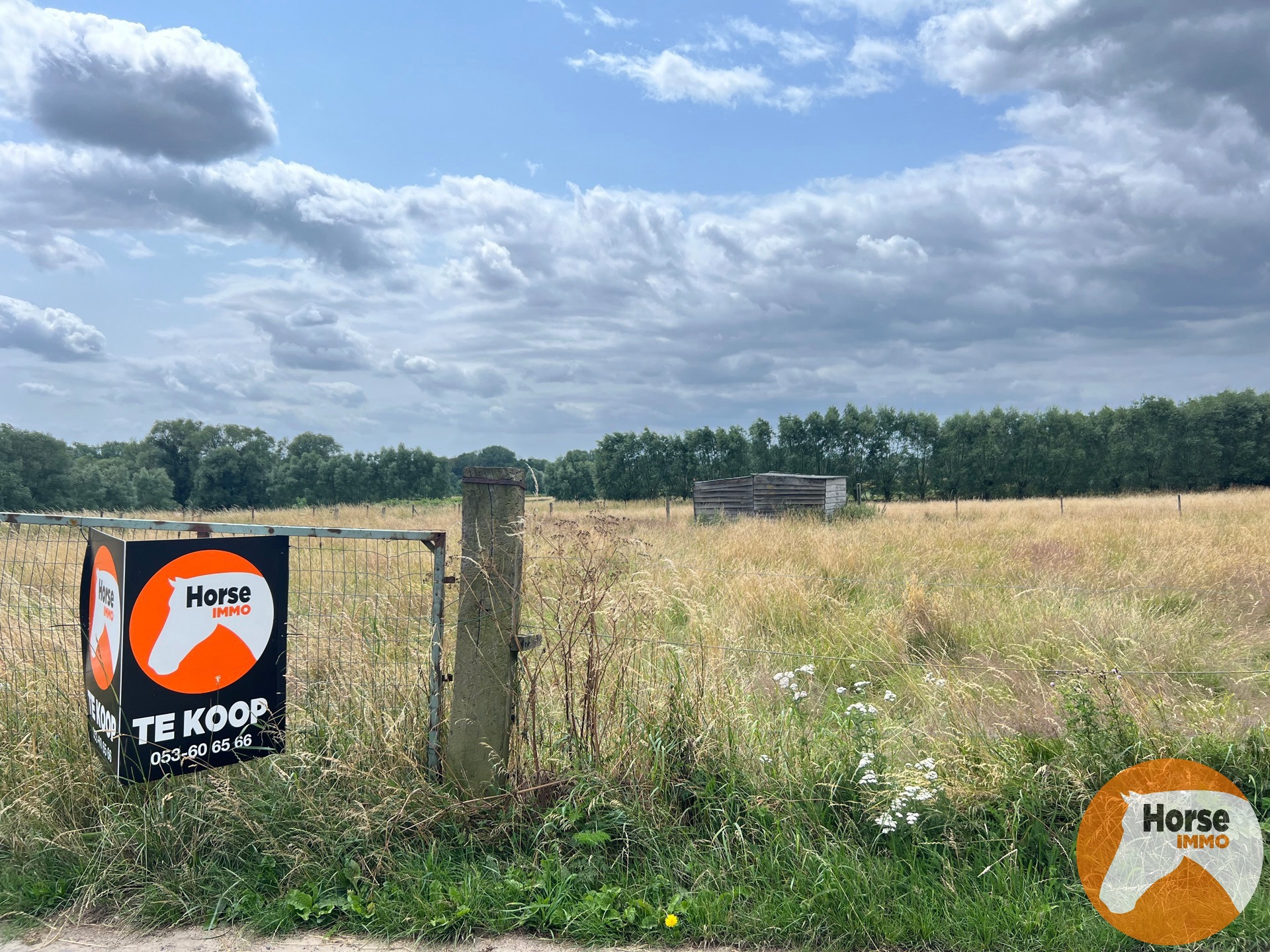 MELDERT - Weide op +/-40Are - foto 1