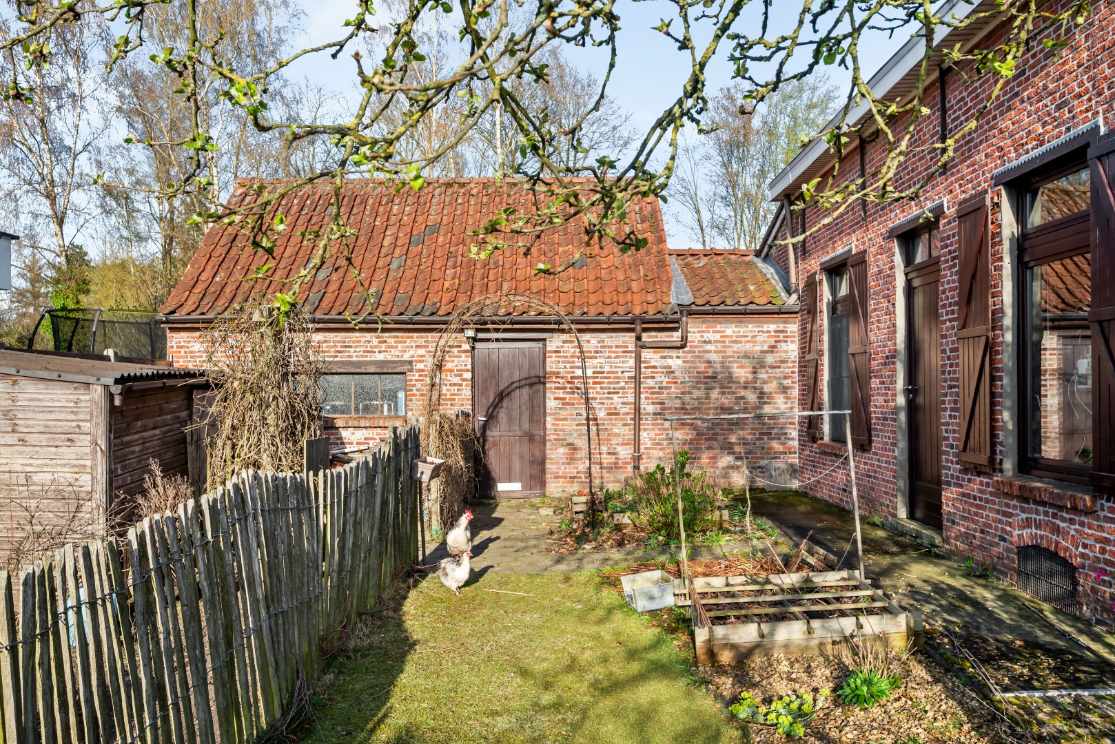Charmante open bebouwing op een groen perceel van 1.350 m² - foto 5