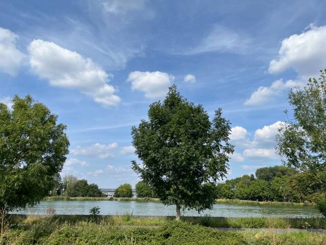 Project for sale in Ingelmunster