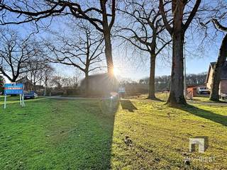 Terrain à vendre à Tessenderlo-Ham