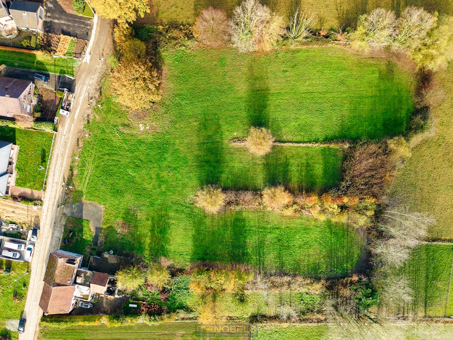 Te koop, rustig gelegen bouwgronden voor HOB te Bever - foto 4