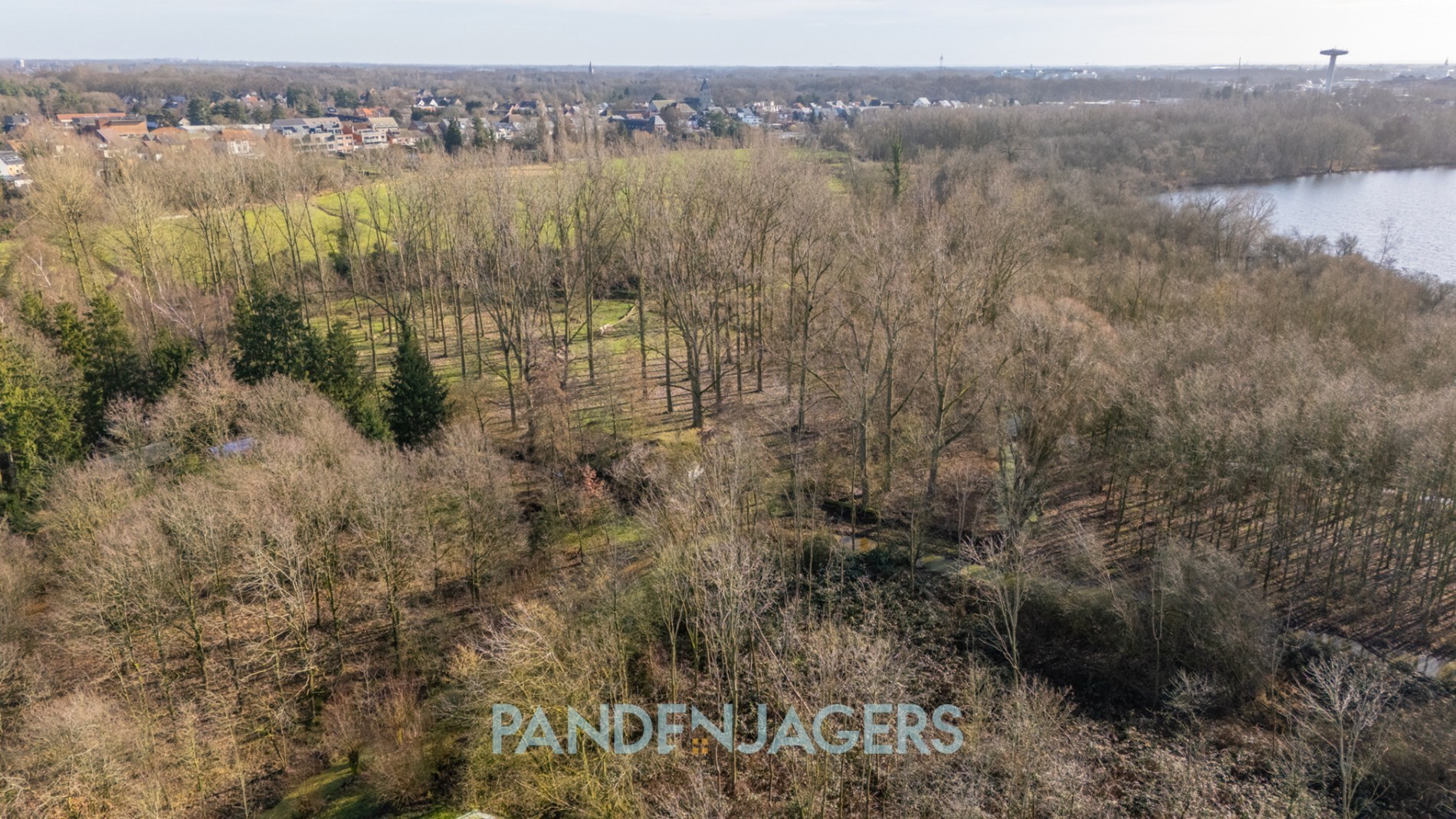 Uniek perceel weiland/bos van 10.110 m² te Battenbroek (Walem) - foto 3