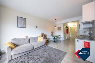 Welkom in deze lichtrijke, volledig gemeubelde studio in residentie Da Vinci! De studio bevindt zich op de derde verdieping van een verzorgd gebouw met lift en fietsenberging. De instapklare studio is momenteel verhuurd en bestaat uit een uitgeruste keuken, een aangename leefruimte met eethoek, een terras, een badkamer met douche en dubbele lavabo, en een apart toilet. Dankzij de ligging op wandelafstand van de zeedijk, winkelstraten, het centrum en het openbaar vervoer, is dit een ideale investering of tweede verblijf aan zee. Mis deze unieke kans niet en plan vandaag nog uw bezoek!