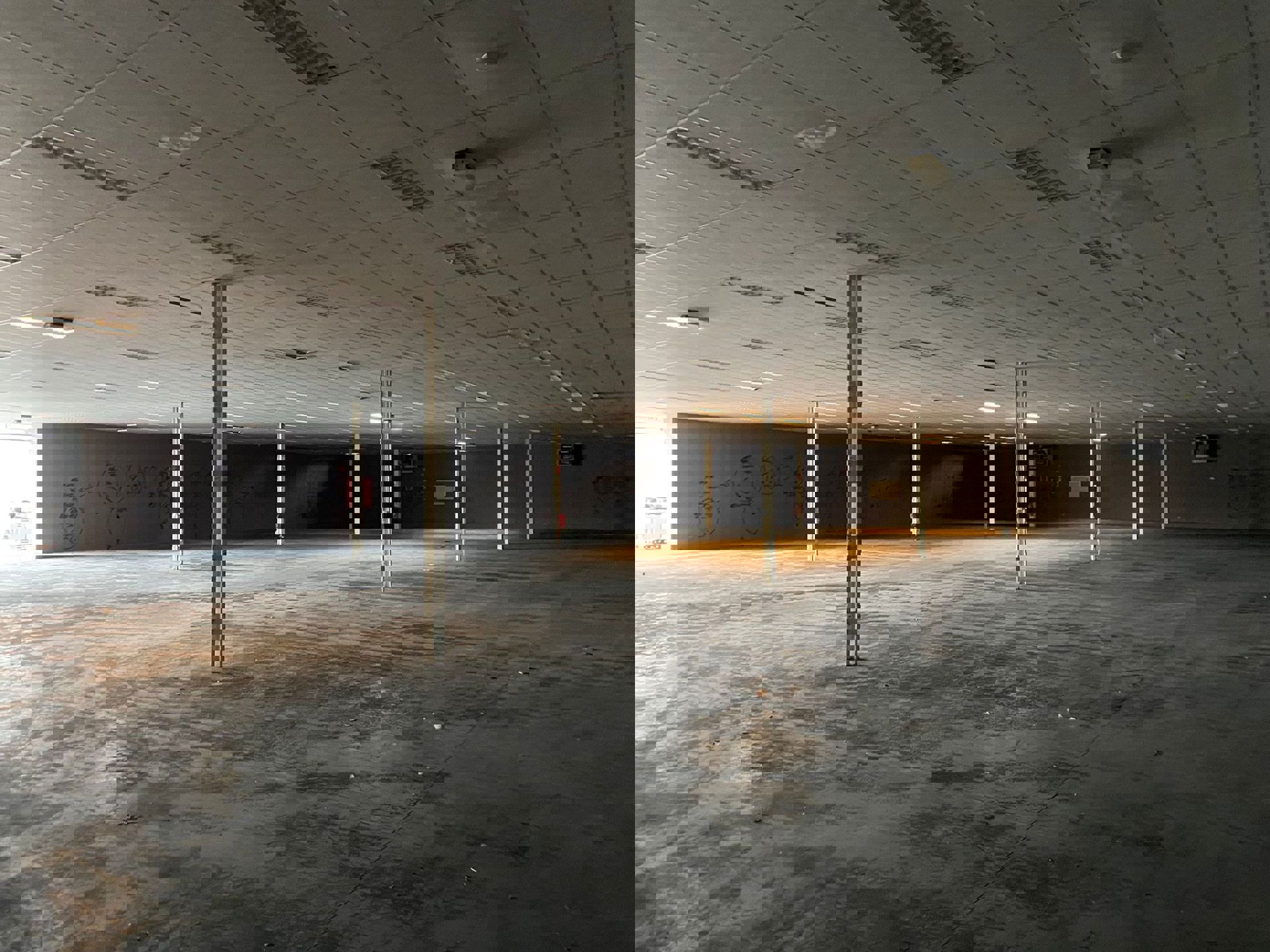 Opslagruimte van 1.441 m² te huur in Dendermonde - foto 4