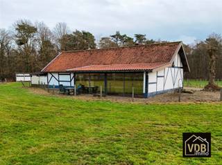 <p><span>Charmante hoeve met paardenstal op 12.000 m² in absolute rust, grenzend aan natuurgebied</span></p><p><span>MELDT U AAN VOOR EEN KIJKMOMENT OP 8 FEBRUARI. MAIL ONS VOOR VERDERE INFO!</span></p><p><span>Droomt u van landelijk </span><span>wonen in alle rust,</span><span> omringd door groen en natuur? Dan is deze gezellige hoeve op een prachtig perceel van maar liefst </span><span>12.000 m² </span><span>precies wat u zoekt. Gelegen in agrarisch gebied, aan het einde van een doodlopende weg en pal tegen het natuurgebied </span><span>Schootsheide</span><span>, geniet u hier van </span><span>volledige privacy</span><span> en een uitzonderlijk rustige ligging — zonder doorgaand verkeer.</span></p><p><span>Het domein bestaat uit de woning met omliggende weilanden, ideaal voor dierenliefhebbers of paardenhouders. De percelen zijn volledig omheind en op het erf bevindt zich een ruime paardenstal met hooiopslag (ca. 90 m²). Vooraan bij de woning vindt u bovendien een charmante, antieke waterput die bijdraagt aan de authentieke uitstraling van het geheel.</span></p><p><span>De hoeve werd oorspronkelijk gebouwd tussen 1900 en 1928 en werd volledig gerenoveerd in 1989. Binnen treft u een warme, gezellige leefruimte met pelletkachel, een keuken met karaktervolle antieke kolenkachel en een ruime veranda met prachtig zicht op het weiland. De woning beschikt momenteel over twee slaapkamers, waarvan één op het gelijkvloers, net als de badkamer.</span></p><p><span>Op de verdieping vindt u de tweede slaapkamer en een grote multifunctionele ruimte met keuken. Deze ruimte leent zich perfect voor diverse invullingen: extra slaapkamer(s), badkamer, hobbyruimte, speelkamer, bureau of ontspanningsruimte. Dankzij de interne trap vanuit de leefruimte is de verdieping vlot toegankelijk.</span></p><p><span>Verder beschikt het gelijkvloers over een verwarmde garage en een bergruimte. Ook hier liggen mooie uitbreidingsmogelijkheden: de garage kan worden omgebouwd tot extra slaapkamer, bureau of hobbyruimte en de zolder boven de garage kan betrokken worden bij het woongedeelte. In totaal is het perfect mogelijk om hier een woning met vier slaapkamers te creëren.</span></p><p><span>Behalve de fotoreportage maakten we ook een <span>3-D rondleiding</span></span><span> </span><span>zodat je de woning vanbinnen kan zien alsof je er zelf aanwezig bent. Check het hier: <span>https://livetour.istaging.com/cc6a0507-bfe0-4f84-8219-2b826ff0422e</span></span></p><p><span>TROEVEN OP EEN RIJ:</span></p><ul><li><span>Perceel van ca. 12.000 m², volledig omheind</span></li><li><span>Weiland en paardenstal met hooiopslag (± 90 m²)</span></li><li><span>Zeer rustige ligging aan een doodlopende weg</span></li><li><span>Grenzend aan natuurgebied </span><span>Schootsheide</span></li><li><span>Authentieke hoeve met karakter en charme</span></li><li><span>Gerenoveerd in 1989</span></li><li><span>Veranda met zicht op het weiland</span></li><li><span>Uitbreidingsmogelijkheden tot 4 slaapkamers</span></li><li><span>Ideaal voor dierenliefhebbers en landelijke woonliefhebbers</span></li></ul><p><span>EPC en ASBEST:</span></p><p><span>Het energielabel is momenteel een F bij gebrek aan afdoende dakisolatie. Mits dakisolatie, zonnepanelen en aanpassing van de verwarming bekomt men een veel betere energie-score. </span></p><p><span>In de woning zelf is 2 asbestmaterialen die zorgvuldig te beheren zijn hetgeen wil zeggen: 'moeten niet weggenomen worden en vormen GEEN gevaar voor de gezondheid.</span></p><p><span>Overige 4 asbestmaterialen zijn er op het dak van de stalling en de waterput. </span></p><p><span> </span></p><p><span>Deze eigendom biedt een unieke combinatie van rust, ruimte, natuur en potentieel. Een zeldzame kans voor wie op zoek is naar een charmante hoeve met tal van mogelijkheden in een uitzonderlijke setting.<br /></span><span>Heb je interesse en wil je meer info of een bezichtiging in plannen? Bel Marie-Paule : 0032476959958</span></p>