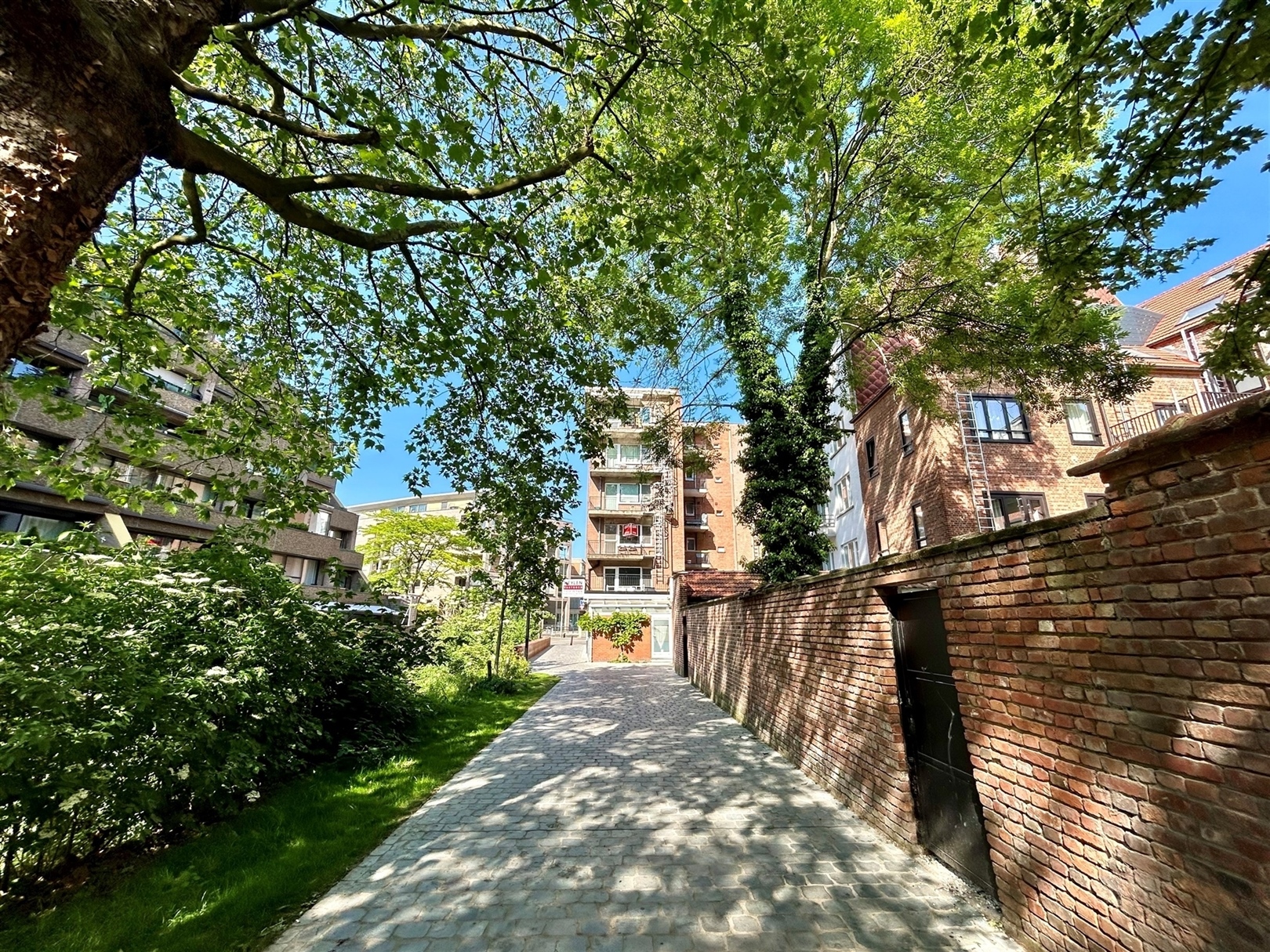 Studio lumineux et meublé dans un endroit privilégié - photo 3