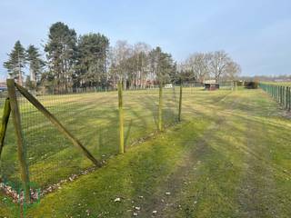 Land for sale in Dessel