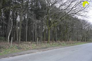 Deze mooie bosgrond is gelegen tussen de Gebroeders Naudslaan en de Wachtbekestraat te Wachtebeke. Voor meer info bel ons op 03-449 42 41 of mail ons...