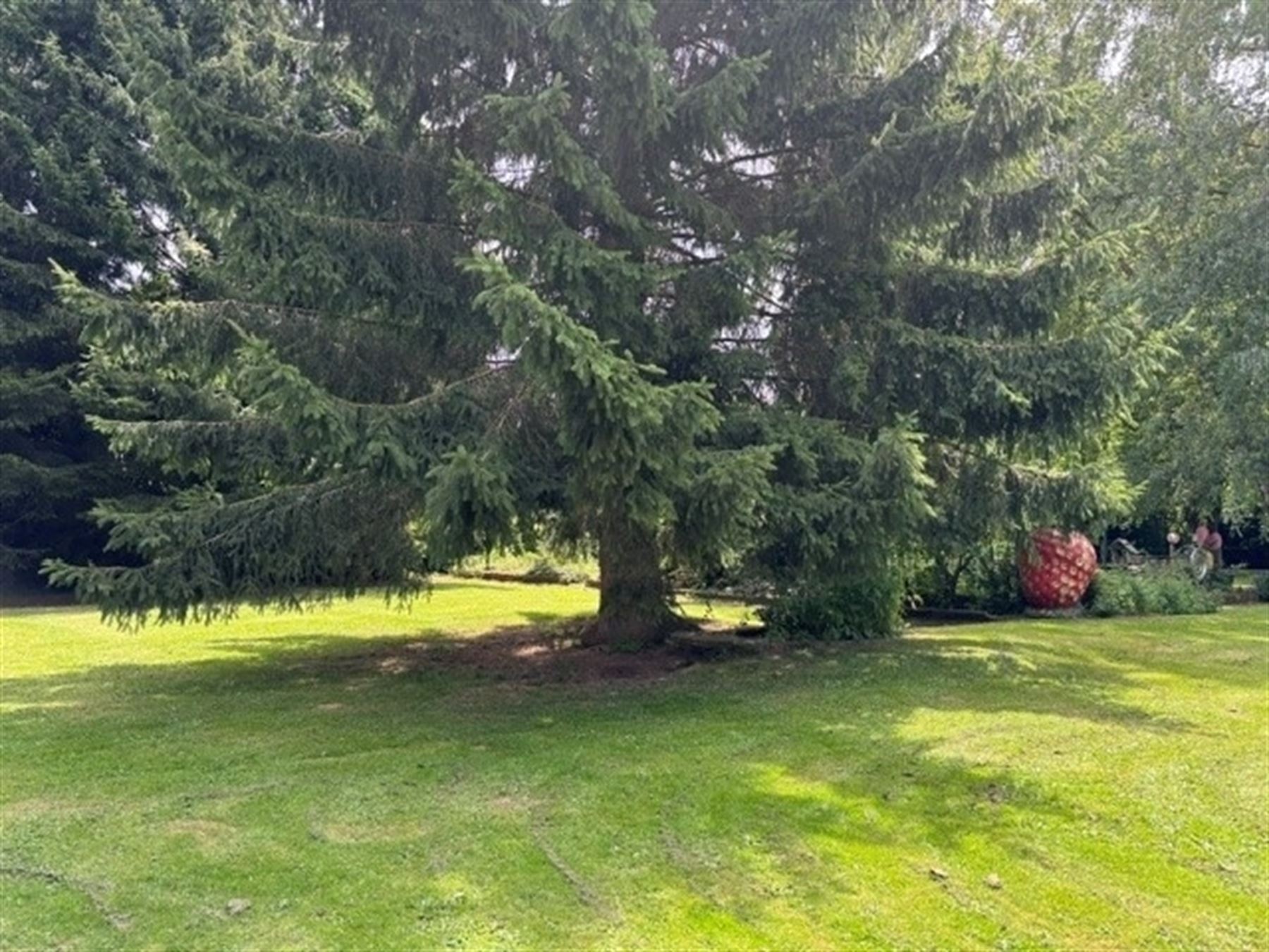Grond op uitstekende locatie - foto 5