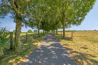 This versatile property is located in a quiet, rural location in Hoogstade, a short distance from Veurne, Ypres, Poperinge and the coast.<br /><br />The whole includes a spacious main house, two holiday homes, a multipurpose room, a studio, a warehouse, a landscaped garden with a pond and a meadow of approximately 5,600 m².<br /><br />The change of function to residential living has already been obtained, making permanent residence possible. This offers various options for those looking for a combination of rural living, extra space and outbuildings.<br /><br />The main house was renovated between 1995 and 1998 and has three bedrooms. The two holiday homes are furnished identically and each includes two bedrooms, a living room, equipped kitchen, bathroom and terrace with a view of the surrounding meadows.<br /><br />In addition, the property has a multipurpose room, workshop and a warehouse of approximately 216 m² with automatic roller gate and sliding gate.<br /><br />This building may be subject to the renovation obligation imposed by the Flemish government for non-residential buildings. For more information, please visit the website of the Flemish Energy and Climate Agency at https://www.energiesparen.be/nr/renovatieverplichting.<br /><br />Are you looking for commercial real estate consisting of restaurants for sale in Hoogstade? Do not hesitate to contact us on 056 21 11 11.<br /><br />Register of measures: pending