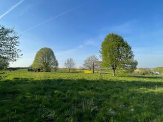 Prachtig gelegen bouwgrond voor een vrijstaande woning, op slechts 2 kilometer van de Leuvense ring.Dit perceel van ongeveer 900 m² biedt dankzij de...