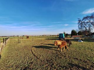 Perceel grond van 4949 m² met te herbouwen/te renoveren woning met mooie vertezichten te ArdooieLandelijk gelegen met ideale bereikbaarheid (snelweg...