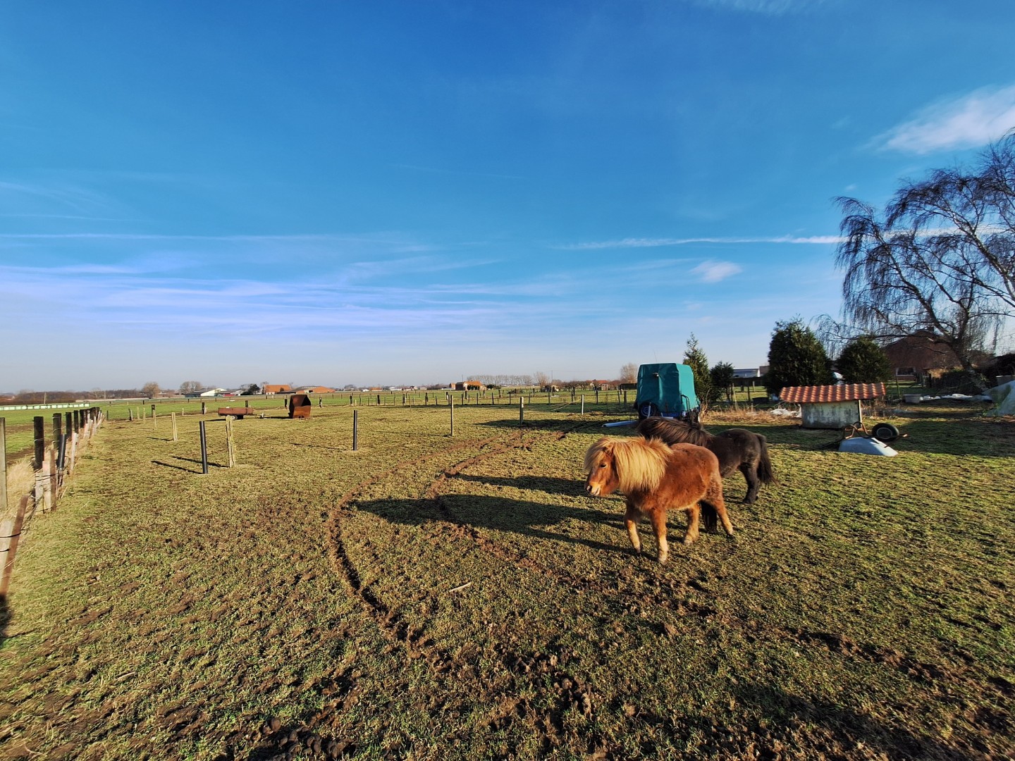 Terrain à vendre à Ardooie - photo 3