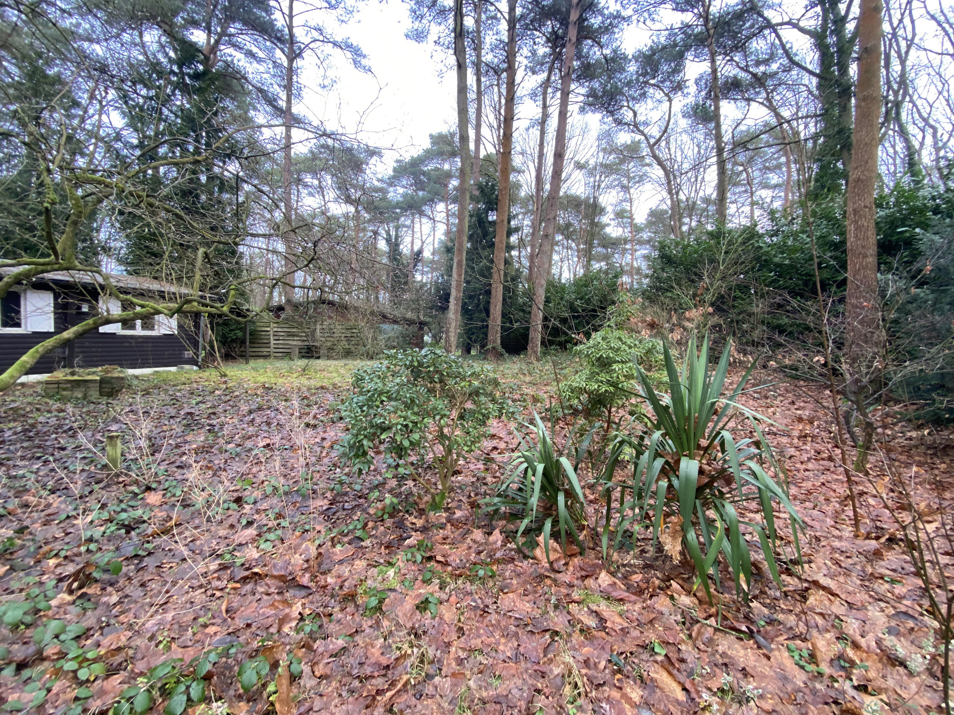 SCHILDE - Bouwgrond met af te breken woning (regime 6% BTW)  - foto 4