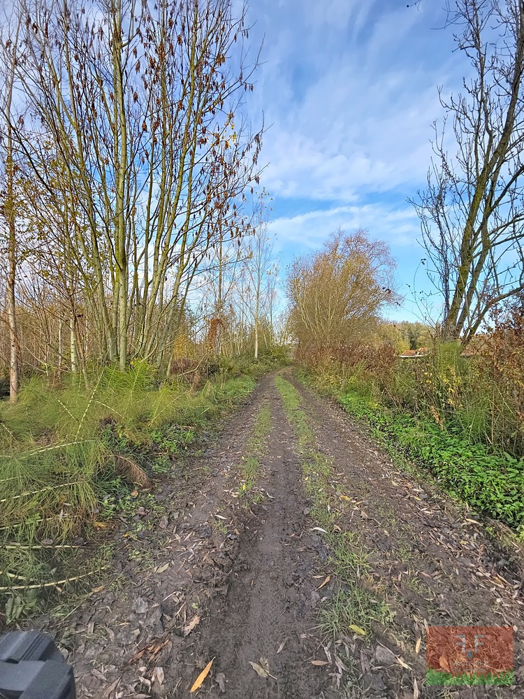 Weiland van 5170m² in het idylissche Cotthem te Sint-Lievens-Houtem - foto 5