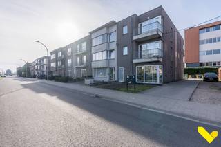 Deze studio is gelegen op de eerste verdieping en is bereikbaar met de trap. <br />Ideale locatie aangezien winkels, openbaar vervoer en scholen zich op wandelafstand bevinden! <br />Zeer gunstig EPC dus lage maandelijkse kosten! <br /><br />Indeling: <br />De leef- en slaapruimte is ruim en geniet van veel lichtinval door de grote raampartijen. De open keuken is geïnstalleerd met de nodige toestellen. Het terras bevindt zich aan de voorzijde.<br />Een badkamer bevindt zich in een aparte ruimte en beschikt over een dubbel lavabomeubel met spiegelkasten en bad/douche combinatie. Een technische berging geeft de aansluitingen voor een wasmachine en er is een apart toilet. <br /><br />Ondergronds vinden we een staanplaats, bereikbaar via de poort achter het gebouw.<br />Mogelijkheid tot parking is aan de straatzijde voldoende voorzien. <br /><br />Onmiddellijk beschikbaar! <br /><br />De troeven:<br /><br />- Gunstig EPC<br />- Staanplaats is inbegrepen in de huurprijs<br />- Centrum Geel<br /><br />Heb je interesse? Stel je dan kandidaat via onze website op www.immovl.be en druk op de knop '<strong>IK WENS EEN BEZOEK</strong>!'