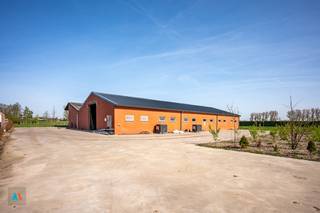 Commercial for rent in Rijkevorsel