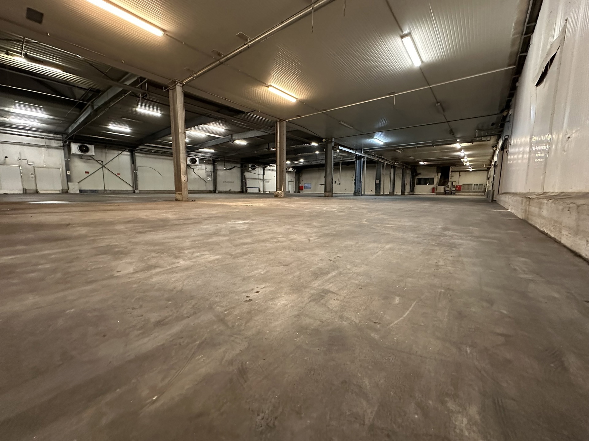 Commercial for rent in Olen - photo 3