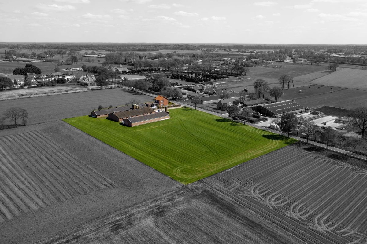 Varkensbedrijf te koop te Kalmthout - foto 4