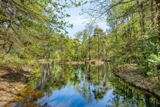 In de stad Geel, palend aan Winkelomheide ligt een domein van 12 hectare, waarvan ca 2 hectare landbouwgrond is. (landbouwgrond optioneel aan te kopen) Op dit domein staat van oudsher een bescheiden, te renoveren woning met drie slaapkamers, een ruime veranda en een inpandige garage. Eveneens staat er een houten chalet met 2 slaapkamers, kelder en garage. Het beschikt over een aangelegde vijver voor zomerse zwempartijen, winters schaatsplezier. De mini-golfbaantjes en het tennisterrein liggen er wat onderkomen bij maar zouden een meerwaarde kunnen zijn. Dit domein biedt privacy, en genieten in de natuur.<br /><br />Ontdek dit zeldzame en uitgestrekte domein, ideaal gelegen in het groene Geel, palend aan het pittoreske Winkelomheide. Met een indrukwekkend perceel van circa 12 hectare (waarvan ca. 2 hectare landbouwgrond), biedt dit eigendom een ongeëvenaarde mate van privacy en een directe verbinding met de natuur. Dit is de ultieme kans voor wie droomt van een exclusief landgoed om te renoveren, te herbestemmen tot een recreatieve oase, of simpelweg te ontsnappen aan de drukte van alledag.<br />De Troeven van het Domein<br />Twee Woongelegenheden met Potentieel:<br />•Hoofdwoning: Een bescheiden, van oudsher aanwezige woning met drie slaapkamers, een ruime veranda en een inpandige garage. Deze woning wacht op een liefdevolle renovatie om te transformeren tot een moderne gezinswoning (houd er rekening mee dat de Vlaamse renovatieverplichting van toepassing kan zijn).<br />•Houten Chalet: Een charmant tweede verblijf met twee slaapkamers, een kelder en een garage, perfect voor gasten, verhuur (mits de bestemming dit toelaat) of als rustige thuiswerkplek.<br />Natuur en Recreatie:<br />•Aangelegde Vijver: Een prachtige waterpartij die uitnodigt tot zomerse zwempartijen, en winters schaatsplezier.<br />•Uitgestrekt Groen: Geniet van de rust en de ruimte die 12 hectare eigen grond u biedt. Een paradijs voor natuurliefhebbers, paardenhouders of rustzoekers.<br />•Recreatieve Faciliteiten: Hoewel het minigolfterrein en de tennisbaan momenteel onderkomen zijn, bieden ze een enorme meerwaarde voor wie het domein nieuw leven wil inblazen met sport- en ontspanningsmogelijkheden.<br />Een Locatie die Inspireert<br />Gelegen in een bosrijke omgeving, garandeert dit domein een idyllische leefomgeving, weg van nieuwsgierige blikken, maar toch dichtbij de nodige voorzieningen.<br />Dit uitzonderlijke vastgoed Is Ideaal voor:<br />•Liefhebbers van ruimte en de natuur.<br />•Kopers die dromen van een privédomein met ontspanningsmogelijkheden.<br />•Professionelen die wonen en werken in een groene omgeving willen combineren.<br />Mis deze unieke kans niet om eigenaar te worden van een exclusief perceel in de regio Geel.<br />Neem contact op voor een bezichtiging en laat u betoveren door de mogelijkheden die dit domein te bieden heeft.<br />OPGELET: de aangekondigde verkoopprijs omvat het bosgebied inclusief de woning en chalet. De landbouwgrond is optioneel aan te kopen.