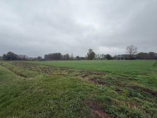 Twee percelen WEILAND gelegen te Spoorwegstraat, kadastraal gekend volgens het kadaster 2 AFD Helen-Bos sectie C nummers 0159P en 0159R, met een totale kadastrale oppervlakte van 18.280 m².<br /><br />Extra info: gelegen aan een verharde weg I mogelijkheid om een van de twee percelen afzonderlijk aan te kopen I EPC niet van toepassing I infoplicht: Gvg, Lwag, Gvv, Gvkr, Gmo I watertoets: P-score: D I G-score: onbekend.