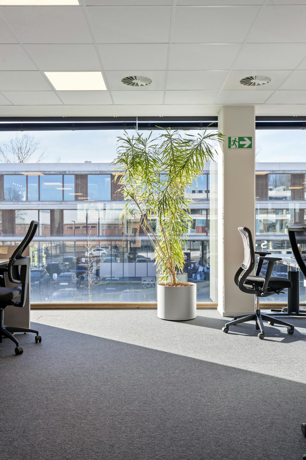 Bureaux à louer à Z-Bureaux à Zwevegem - photo 3