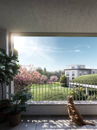 <p><span>Deze </span><span>woning </span><span>is gelegen aan de </span><span>Sint-Benedictusstraat in Mortsel </span><span>binnen het energiezuinige </span><span>nieuwbouwproject </span><span>Benedicte</span><span>: een groene thuis voor iedereen die waarde hecht aan </span><span>duurzaamheid</span><span>, een </span><span>natuurlijke </span><span>omgeving en zalig </span><span>wooncomfort</span><span>. </span></p><p><span> </span></p><p><span>Benedicte is </span><span>een toekomstgericht en duurzaam BEN-woonproject </span><span>rondom een </span><span>nieuw groen en autoluwe park in Mortsel</span><span>. Alle woningen en appartementen halen </span><span>minstens EPC label A</span><span>. Bovendien zijn de gebouwen </span><span>energiepositief</span><span>: ze verbruiken dus minder energie dan ze produceren.</span></p><p><span> </span></p><p><span>Deze woning heeft een oppervlakte van 125m², heeft een tuin van 26m² en terras van 7m² met zuid oriëntatie,  en drie slaapkamers.</span></p><p><span> </span></p><p><span>Indeling</span></p><p><span>- inkomhal</span></p><p><span>- nachthal</span></p><p><span>- aparte toilet 1</span></p><p><span>- aparte toilet 2</span></p><p><span>- ruime woonkamer en eetkamer</span></p><p><span>- keuken</span></p><p><span>- slaapkamer 1</span></p><p><span>- slaapkamer 2</span></p><p><span>- slaapkamer 3</span></p><p><span>- badkamer 1</span></p><p><span>- tuin met terras </span></p><p><span>- technische berging</span></p><p><span> </span></p><p><span>Bijzonderheden</span></p><p><span>- koolstofneutrale massieve houtbouw (CLT)</span></p><p><span>- energiezuinige BEN-woningen</span></p><p><span>- maximaal behoud van het bestaande groen</span></p><p><span>- gelegen in een autoluw park</span></p><p><span>- 100% hernieuwbare energie</span></p><p><span>- ondergrondse autostaanplaats en kelder bij aan te kopen</span></p><p><span> </span></p><p><span>Ben jij geïnteresseerd in deze nieuwbouw woning te koop in hartje Mortsel, ben je op zoek naar ander vastgoed of wens je de waarde van jouw eigendom te kennen? Dan ben je bij BOLT immo aan het juiste adres! Wij helpen jou graag verder.</span><span> </span></p>