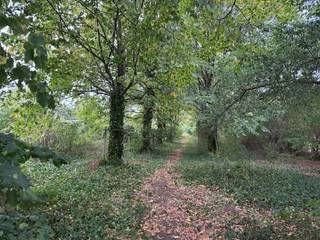 Deze zeer rustig prachtig gelegen bouwgrond ligt te midden van een oase van groen.<br /><br />Bouwgrond bestemd voor open bebouwing met een oppervlakte van +/- 12 are.
<ul>
<li><span>Zuidwaarts georiënteerde ligging</span></li>
<li><span>Vlakbij de groene zone van de Nete-vallei</span></li>
<li><span>Zeer rustig gelegen en geen nachtlawaai van auto’s</span></li>
<li><span>Om naar de kleuterschool te gaan geen grote baan over te steken</span></li>
</ul>
<br />Breedte: 20m<br />Diepte: 60 meter<br />Geen risicozone voor overstromingen - perceelscore A<br />Bebouwbare oppervlakte is 14 breed en 17m diep.<br /><br />Voor meer info inzake bouwvoorschriften of voor een bezoek bel 0475 59 90 00 of mail yves.dplusvastgoed.be<br />