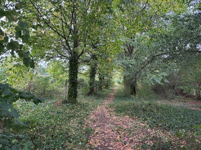 Bouwgrond van 1200m² in een oase van groen - foto 3