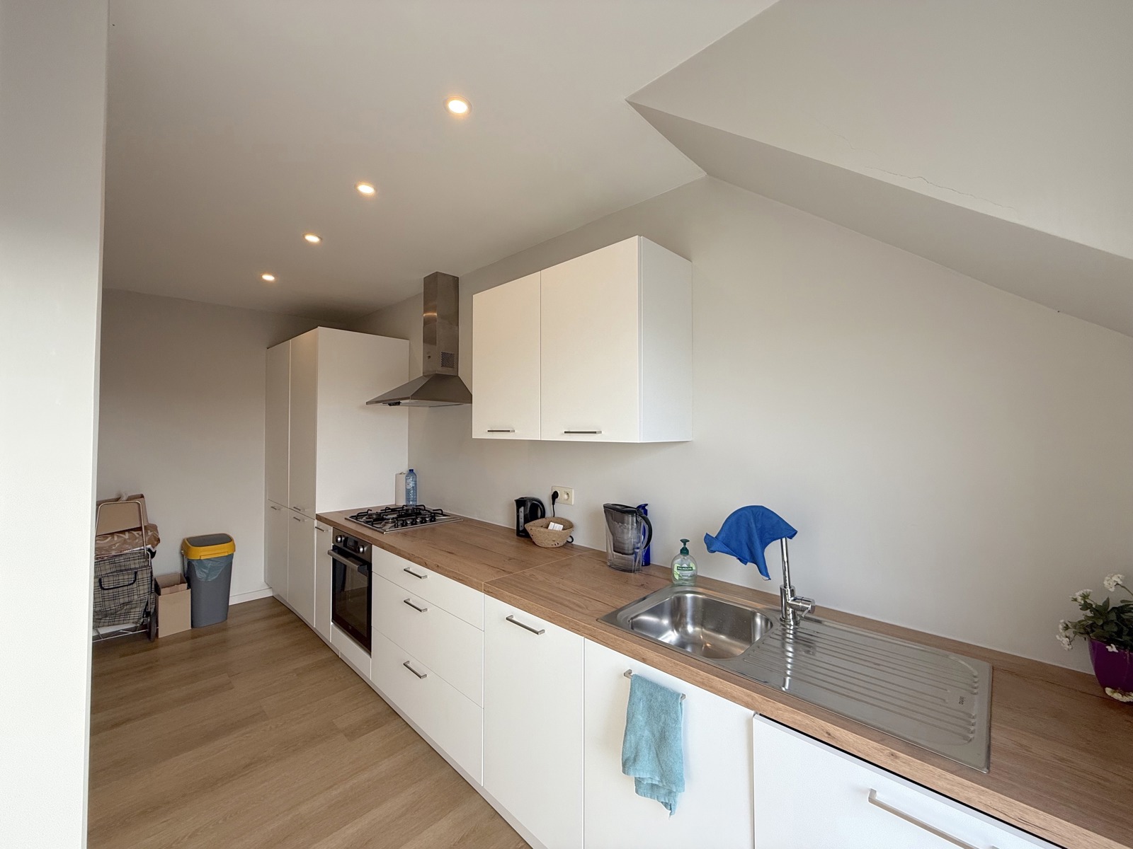 Zongericht en vernieuwd appartement met 2 slpks en terras - foto 5