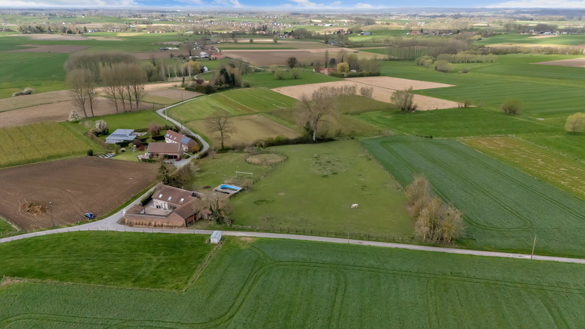 Maison à vendre à Sint-Pieters-Kapelle avec 4 chambres - photo 2