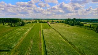 Ontdek dit prachtige huis gelegen in het rustige en landelijke Kaprijke, perfect voor wie op zoek is naar ruimte en rust. Deze woning beschikt...