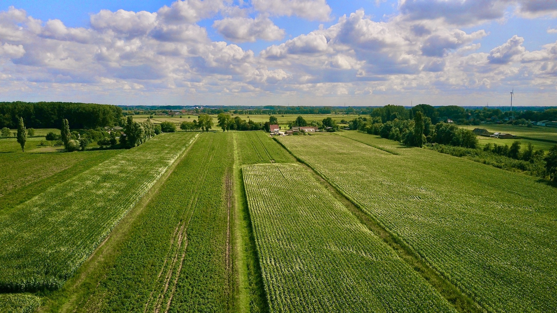Maison à vendre à Kaprijke avec 3 chambres - photo 3
