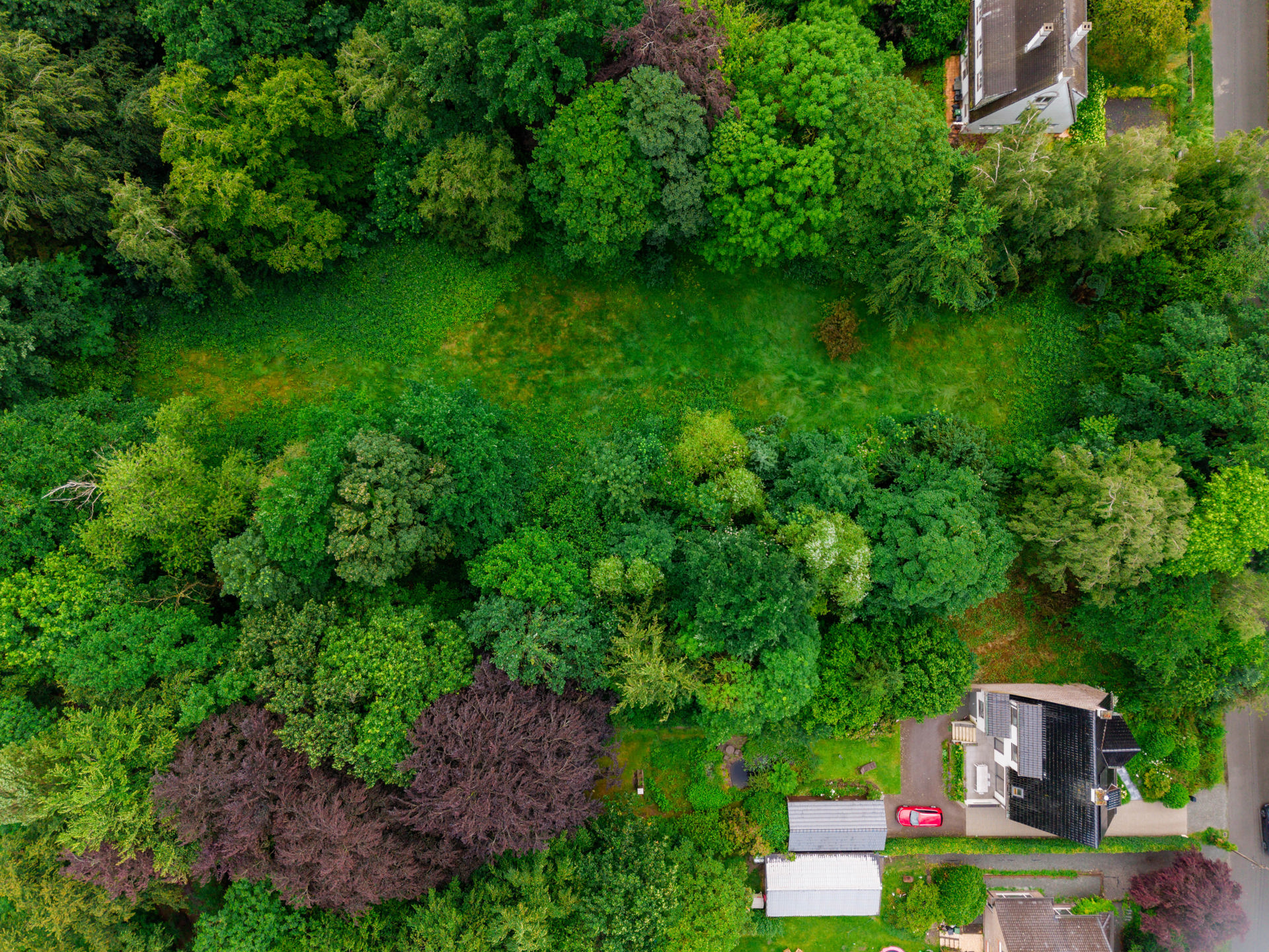 Land for sale in Sint-Denijs-Westrem - photo 5